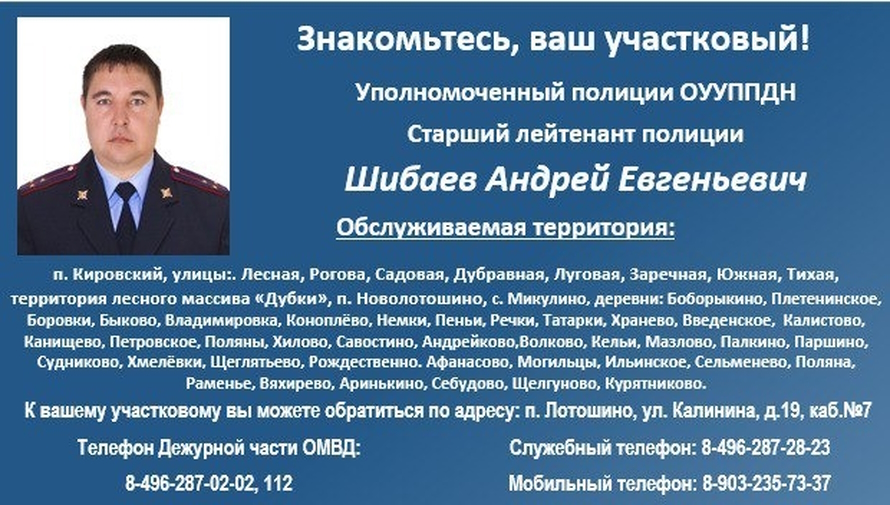Шибаев Андрей Евгеньевич
